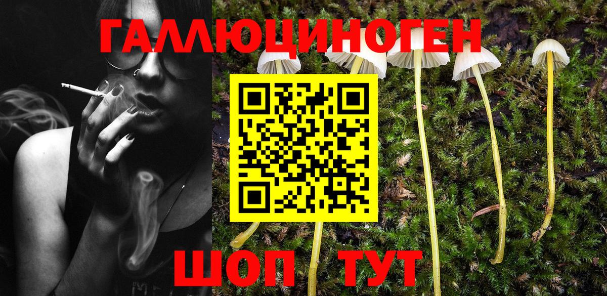 Псилоцибиновые грибы мухоморы  Вход с VPN  Псилоцибиновые грибы MAGIC MUSHROOMS  Псков 